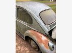 Thumbnail Photo 1 for 1965 Volkswagen Beetle